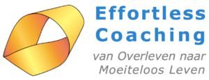 inzicht door ervaring nu biedt nu ook effortless coaching