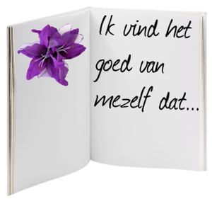 Witboek- 'inzicht door ervaring'